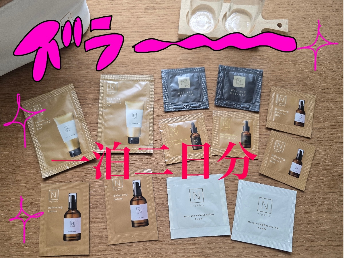 SALE期間P10倍／【オギャドキコラボ特別セット】N organic 夏の