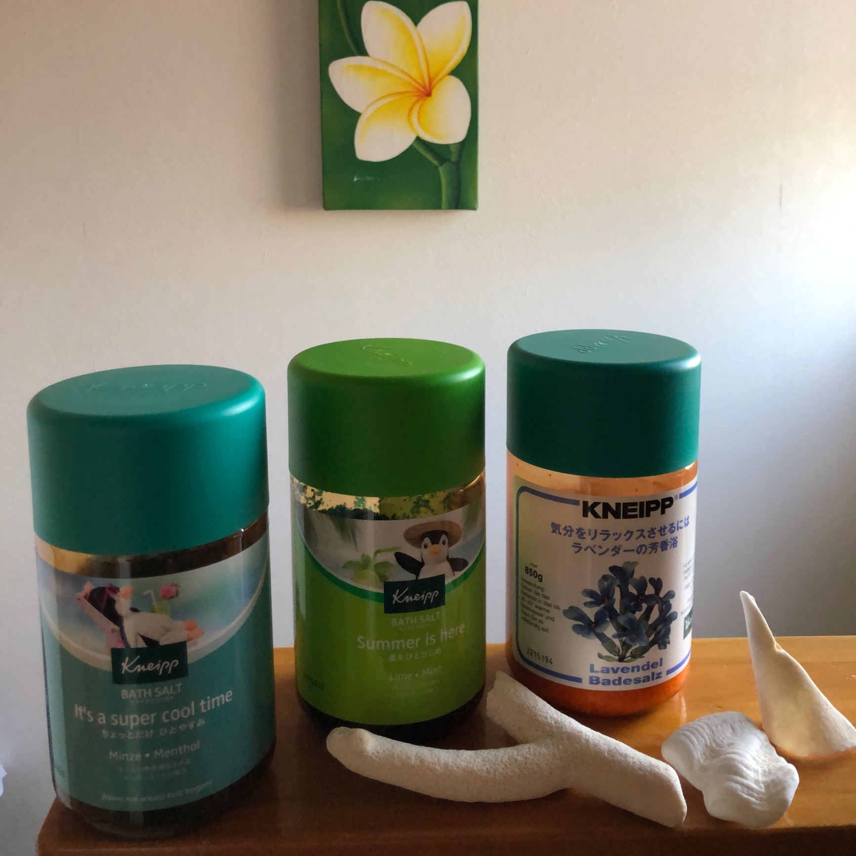 クナイプ バスソルト 【3種】 KNEIPP 【お好きな香り3点】クナイプ バスソルト 850g×3個