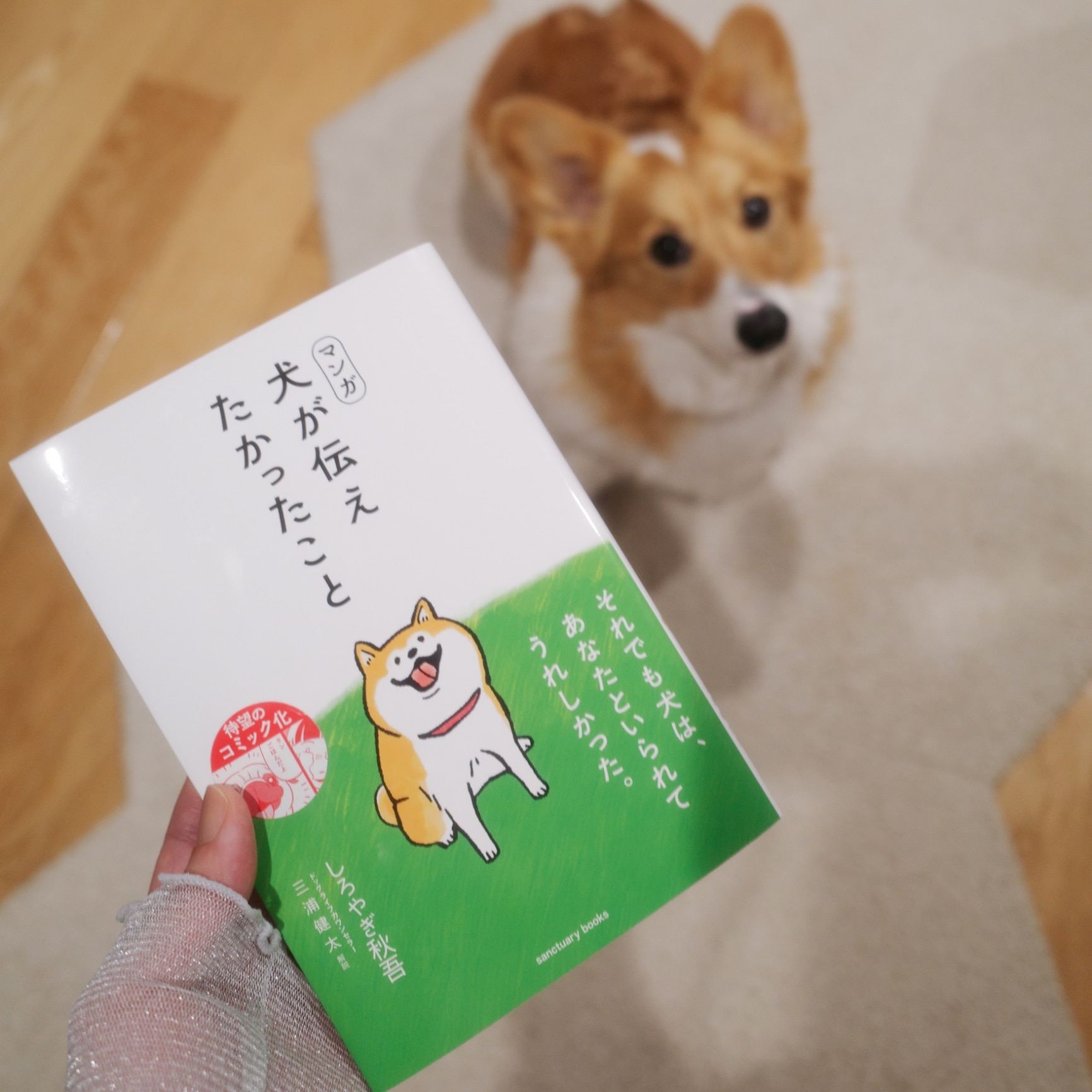 送料無料】犬が伝えたかったこと／三浦健太