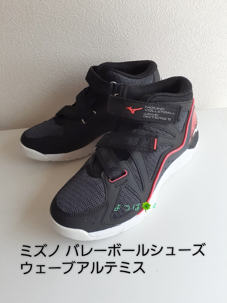 ミズノ 【MIZUNO】 バレーボールシューズ ユニセックス ウエーブ