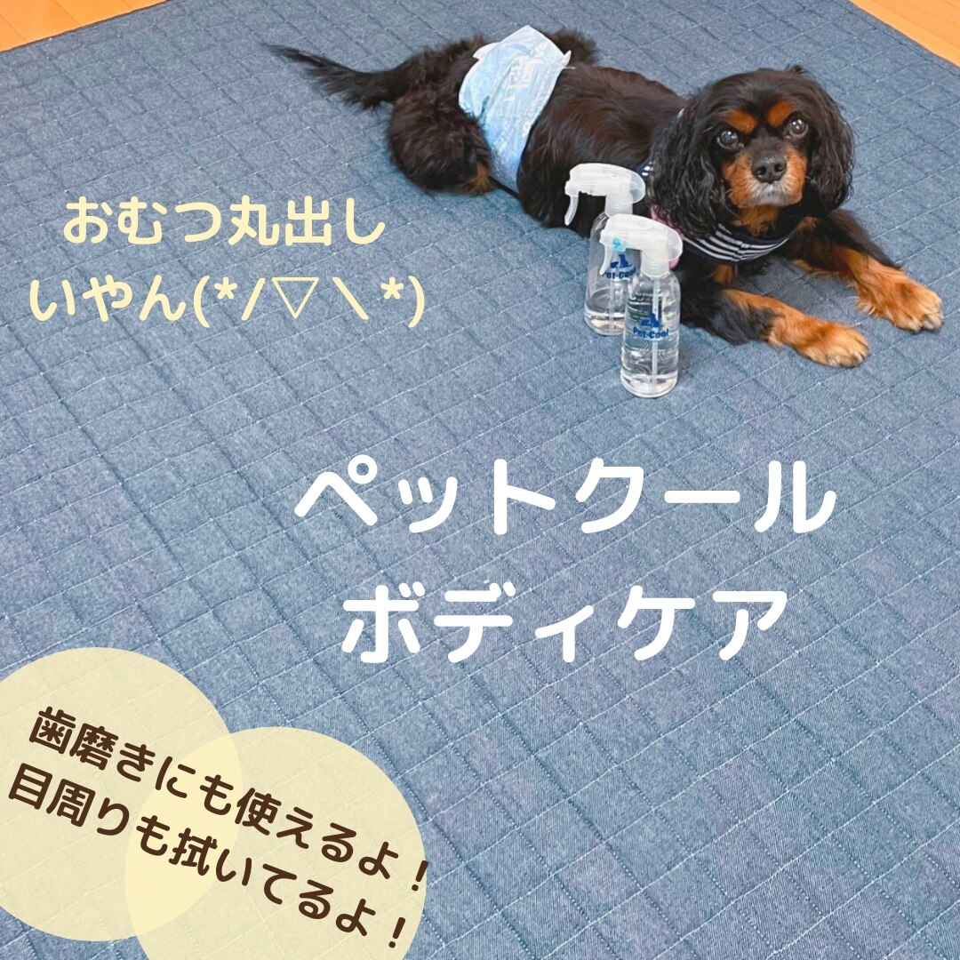 300ml-pet-cool-body-care