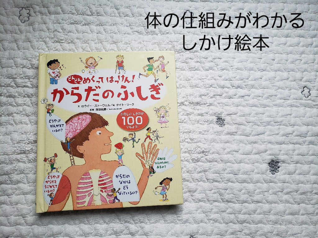 どんどんめくってはっけん！からだのふしぎ [ ロウイー・ストーウェル ]