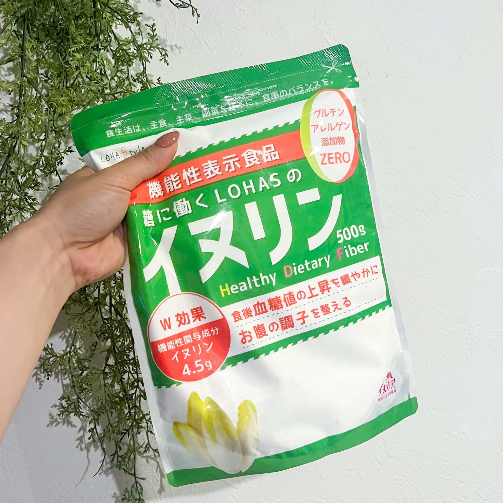 イヌリン坊や 様 イヌリン 機能性表示食品 500g 【食後の 血糖値 や 便秘 が気になる方