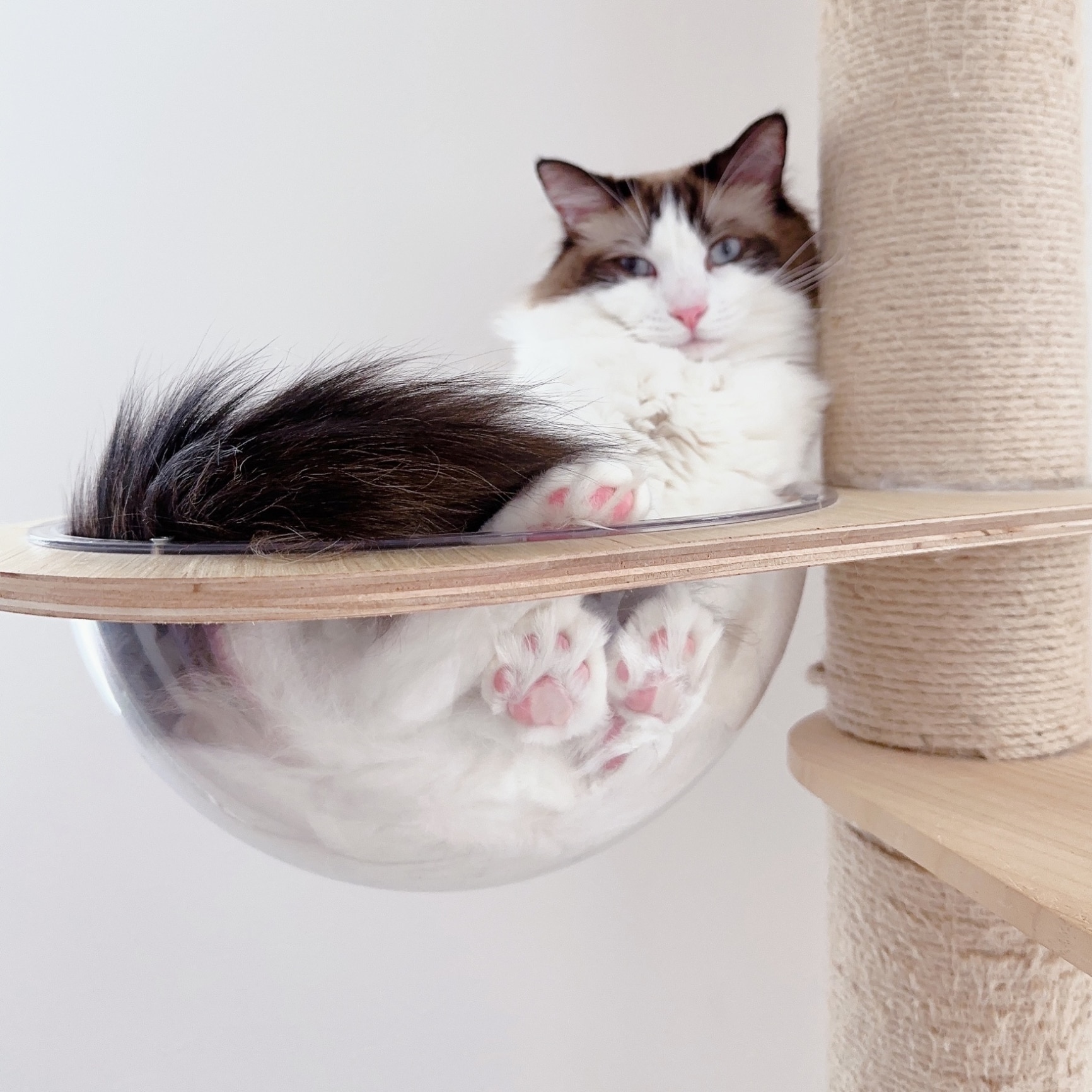 sumikaスケルトンラウンドベッドLラージサイズ ☆ セレクション受賞