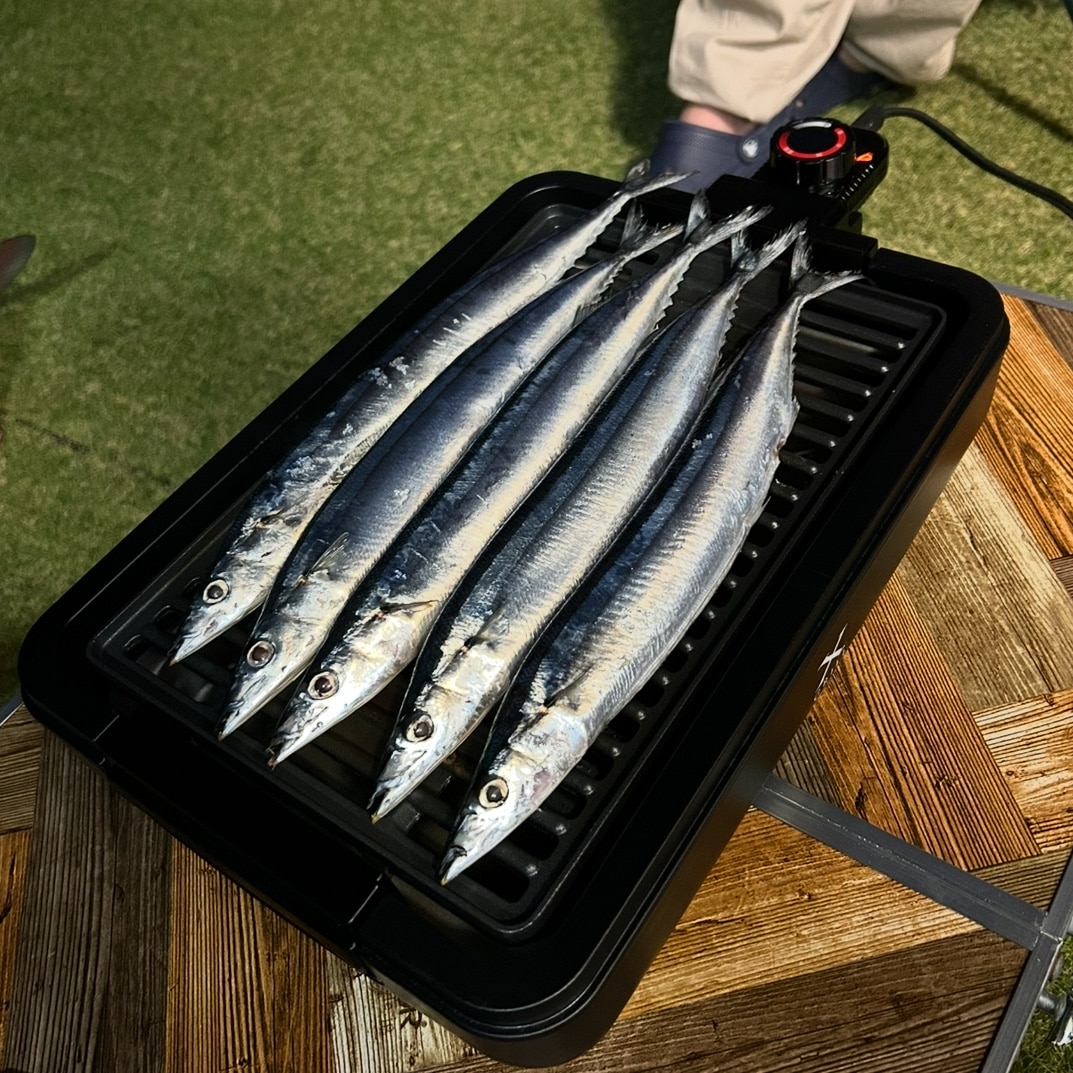糖質カット 炊飯器 MTL-K017 送料無料 mottole 低糖質 炊飯器 調理家電