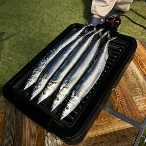 糖質カット 炊飯器 MTL-K017 送料無料 mottole 低糖質 炊飯器 調理家電 