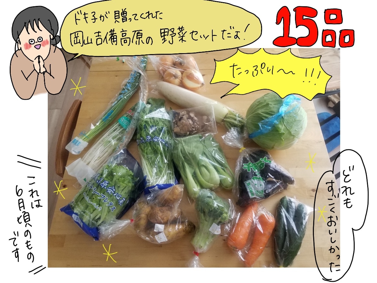 翌日発送できます！】□送料無料□【吉備高原農家の野菜】大盛り15品