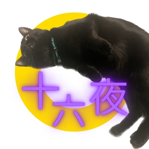 十六夜🐈🐈‍⬛ 暮らしのあれこれ のROOM - 欲しい! に出会える。