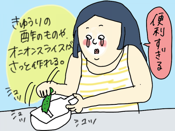 調理器セット Dh 3027送料無料 貝印 スライサー セット 調理器具セット 千切り 野菜 おろし器 スライサー 調理グッズ コンパクト 下ごしらえ 新生活 一人暮らし おしゃれ セレクト100 D