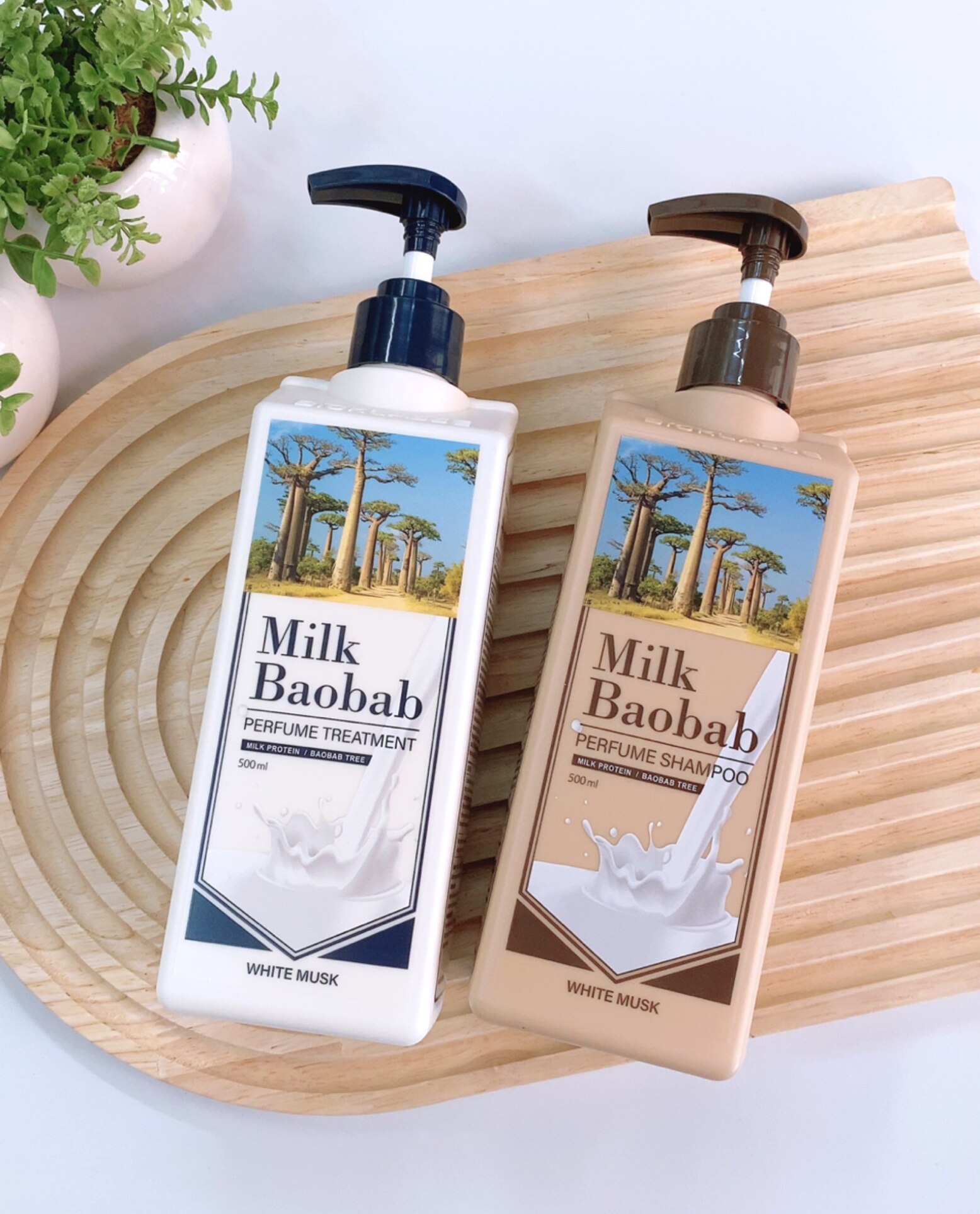 ミルクバオバブパフュームシャンプーu0026トリートメント1000ml ホワイトムスク | ミルクバオバブ公式シャンプー (ホワイトソープ, 500ml