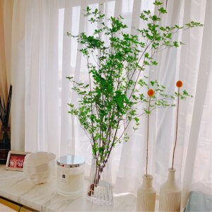 生花 ドウダンツツジ 枝物 1m程度 5本 Room 欲しい に出会える 生花 ドウダンツツジ 枝物 1m程度 5本 Room 欲しい に出会える