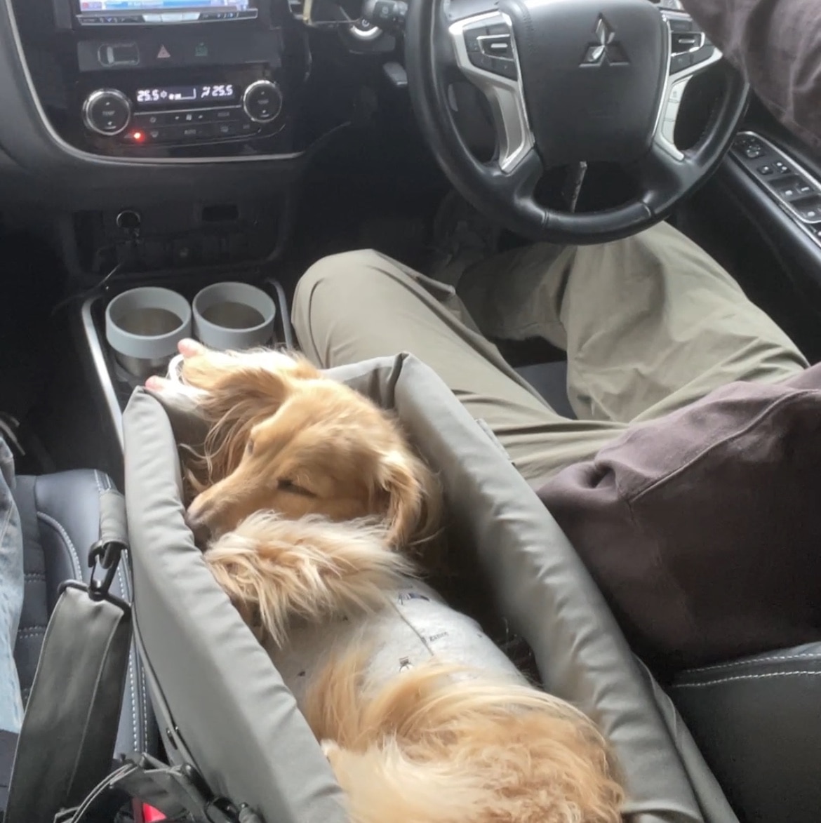 あむ のROOM - 欲しい! に出会える。