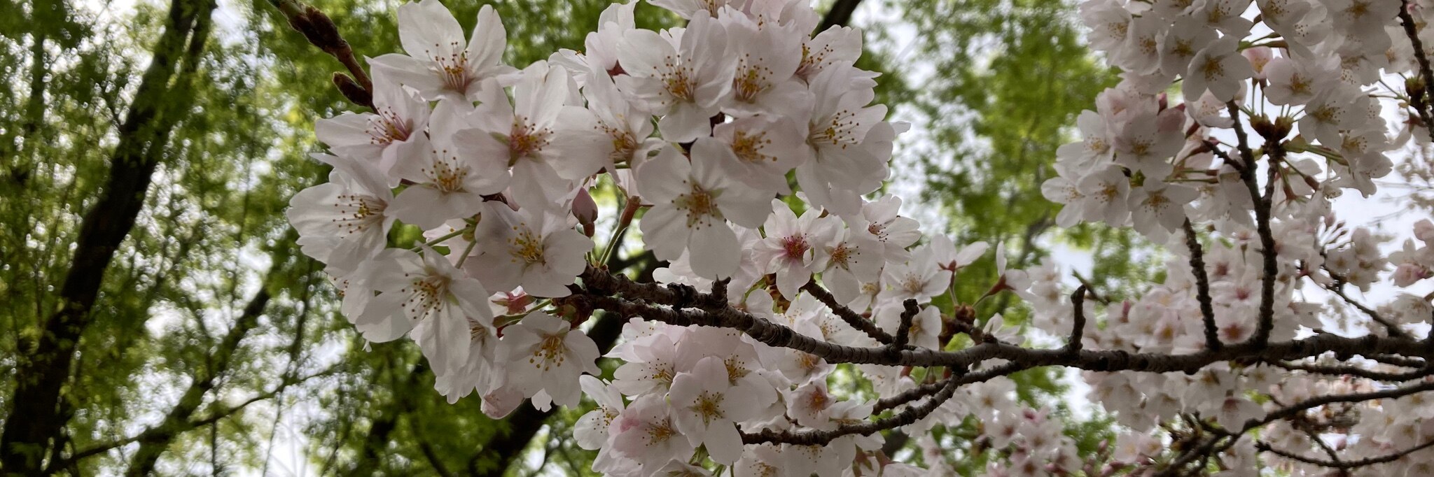 Rika イイねありがとうございます のroom 欲しい に出会える