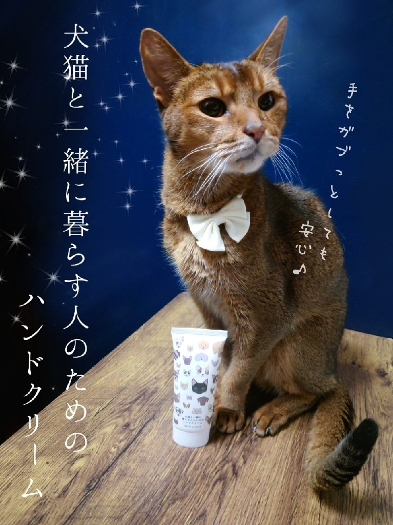 オーガニックハンドクリーム 人気 猫