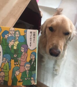 Room 検索結果 Room 検索結果