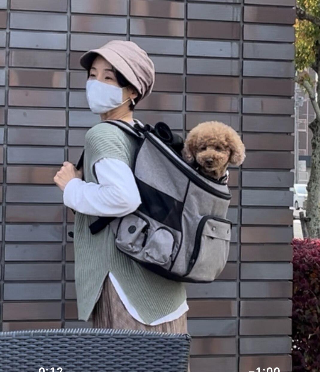 リュックペットキャリー (BT-P098B) ニトリ 【玄関先迄納品】