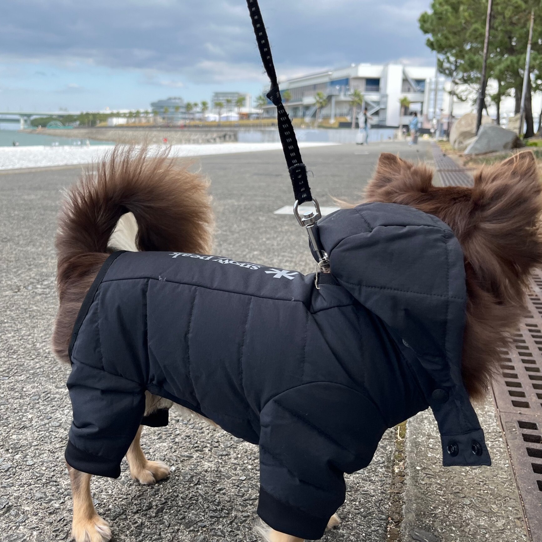 20％OFF SALE セール】Snow Peak(スノーピーク)SP Dog Down Jacket(SP