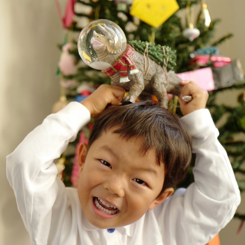 ダイナグローブ クリスマスインテリア 恐竜 スノー ドーム クリスマス