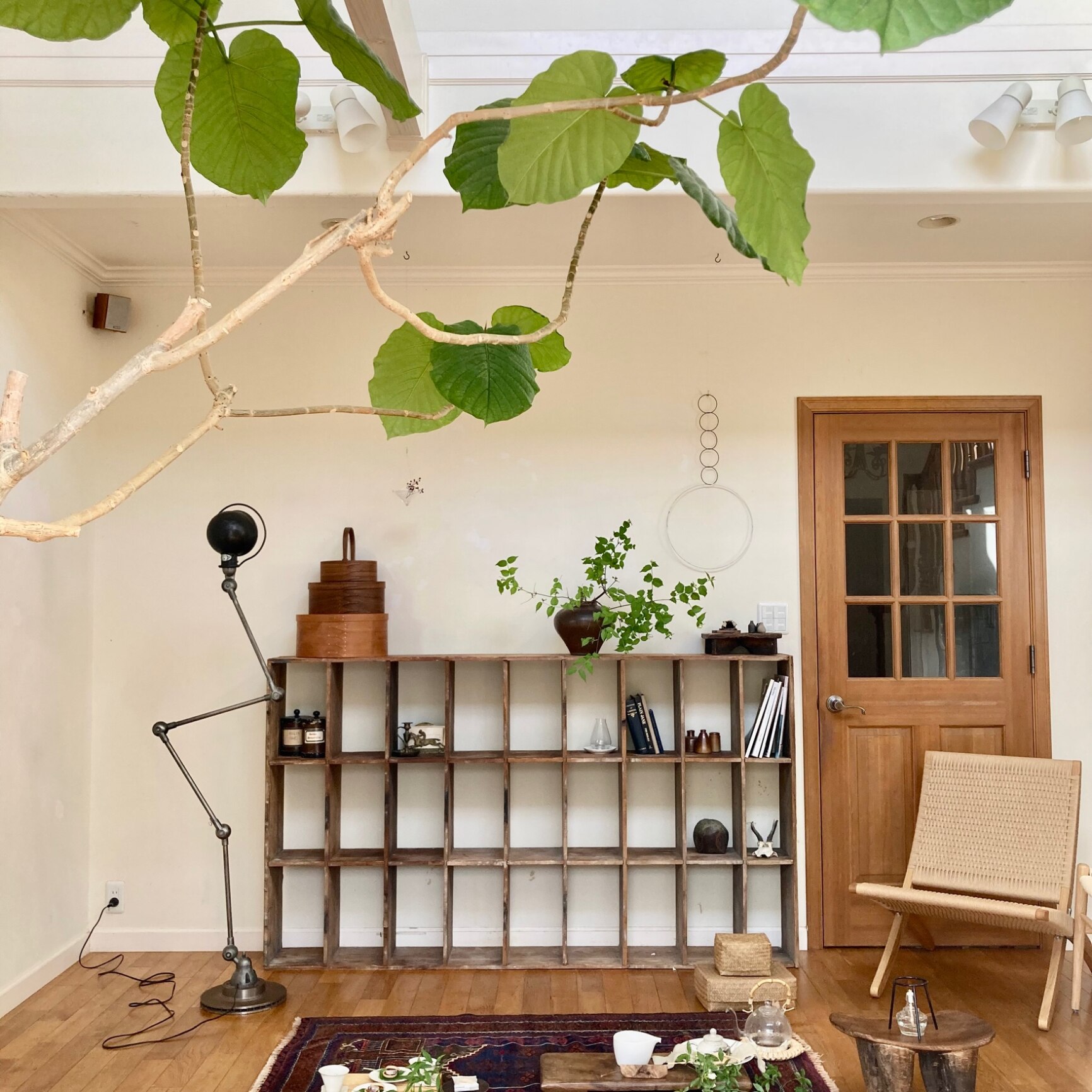 シェーカーボックス Lサイズ オーバル 楕円 収納 ボックス チェリー材