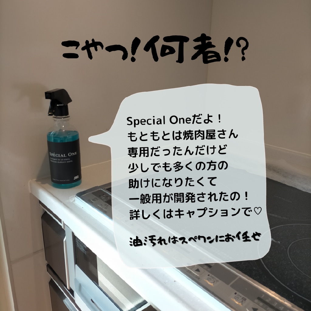 Special One【スペシャル・ワン】500mlキッチン油汚れ用洗剤 スプレータイプシンク周り・コンロ周り・グリル洗浄・換気扇洗浄強力油汚れ洗剤