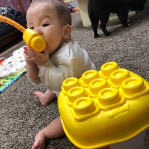 やわらかブロック 基本セットボックス カーサリッチ イタリア生まれの赤ちゃんに優しいやわらかい素材のブロック Room 欲しい に出会える