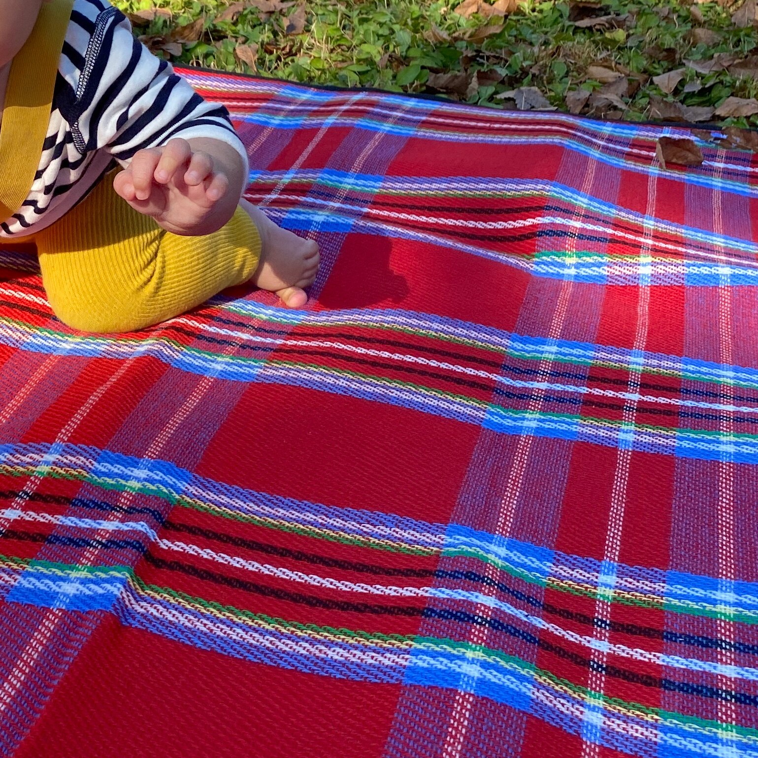 めざましテレビ で紹介】 outport チェック 柄 レジャーシート