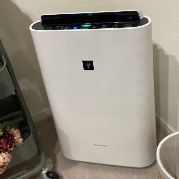 空気清浄機 シャープ KC-T50-W ホワイト系 SHARP 空清 23畳 加湿 14畳 