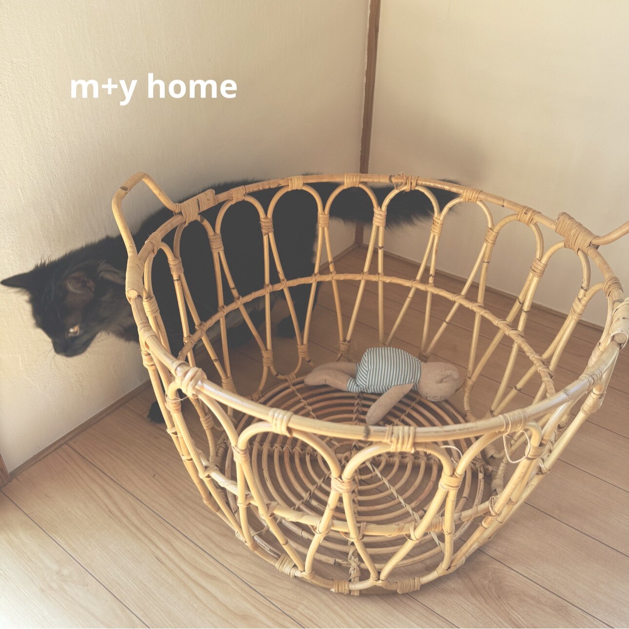 ROOM : 検索結果