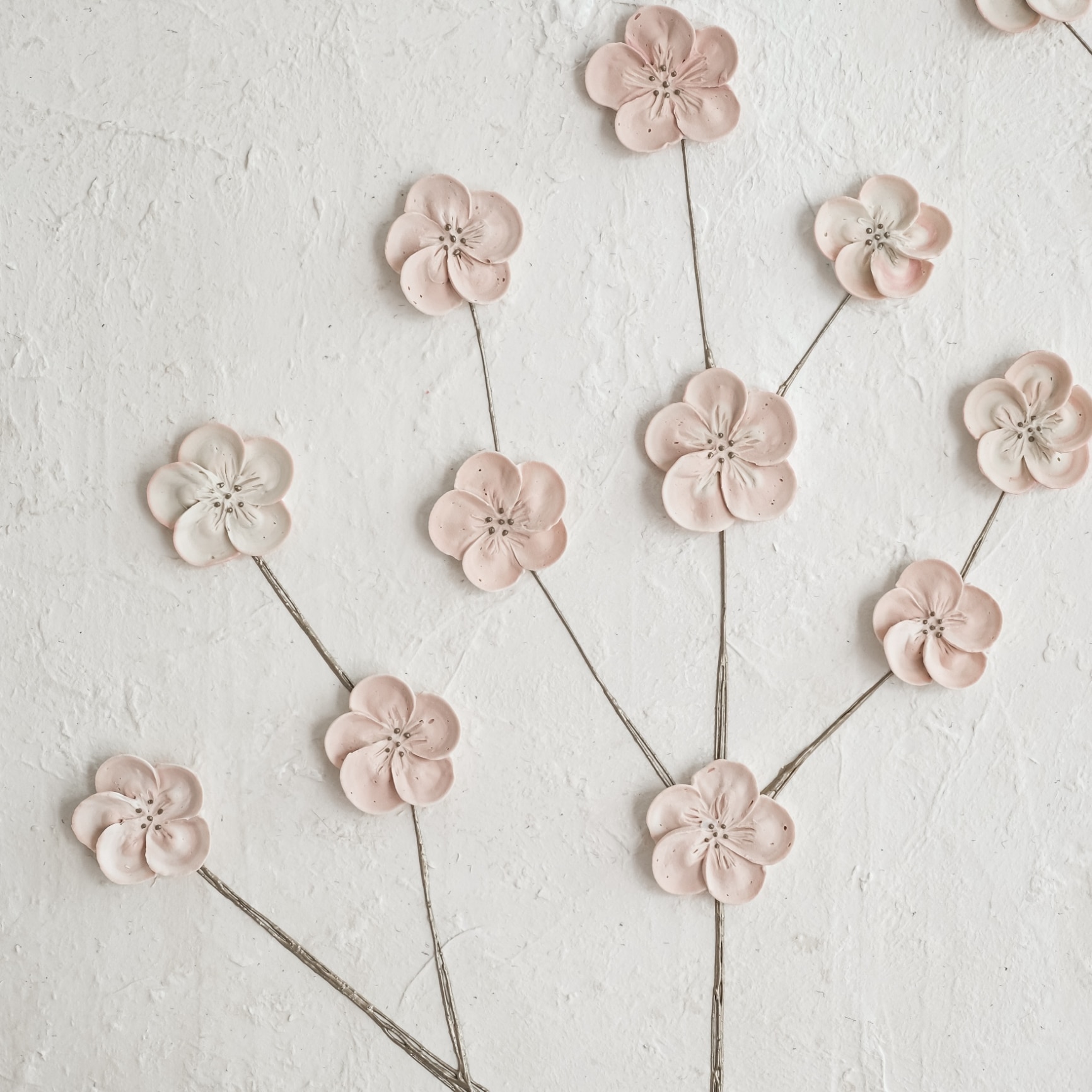 tomo のROOM - 欲しい! に出会える。