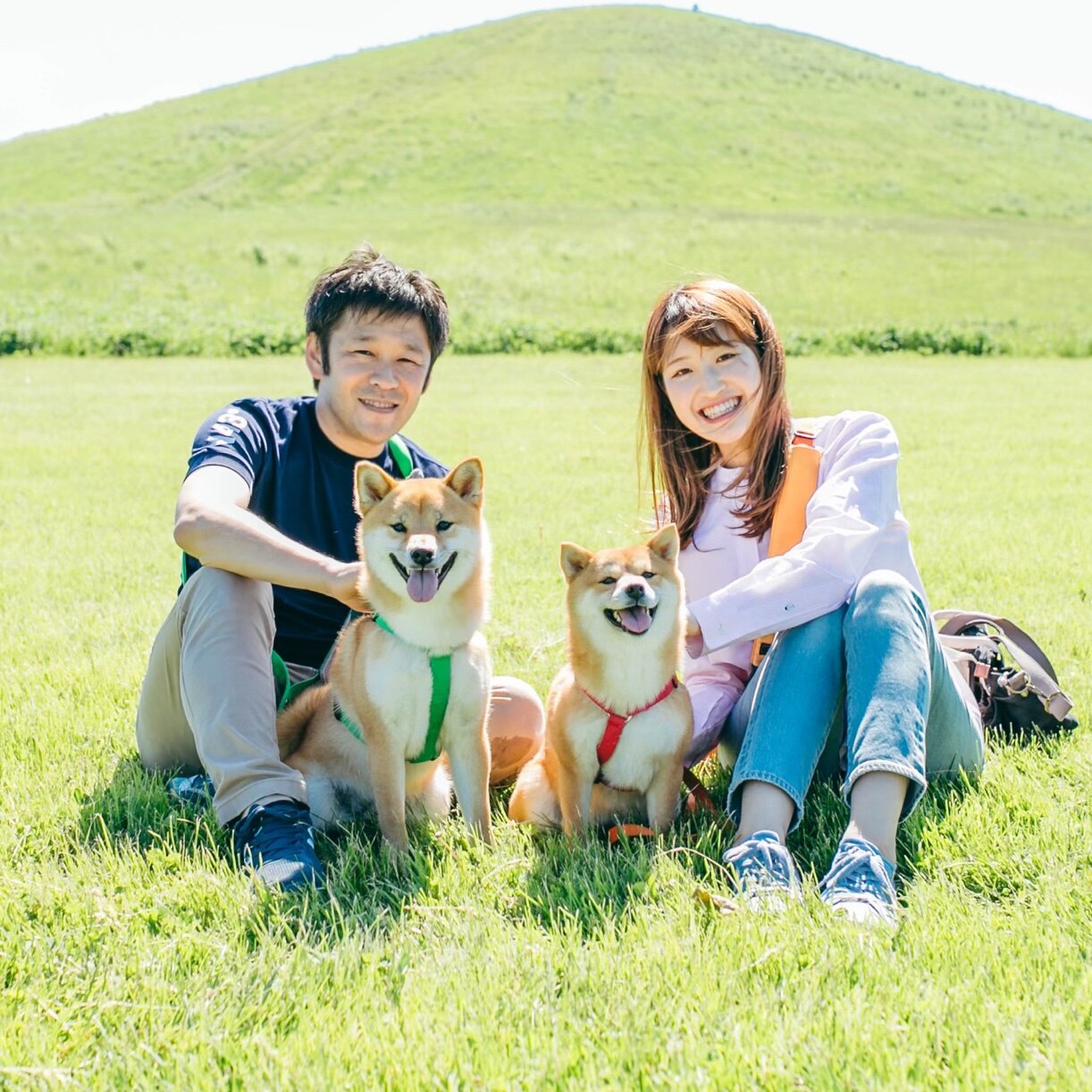 豆柴福ちゃん富くんの飼い主です のroom 欲しい に出会える