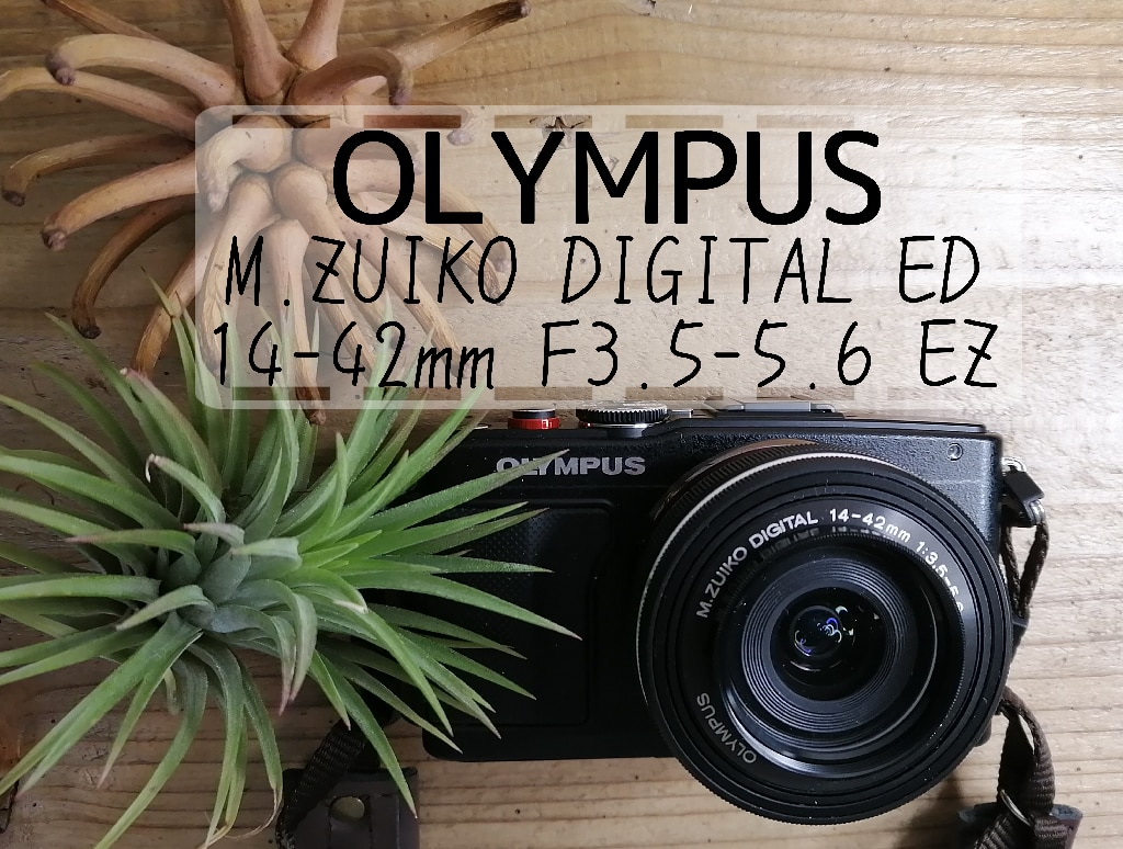 OLYMPUS オリンパス ズームレンズ M.ZUIKO DIGITAL ED 14-42mm F3.5
