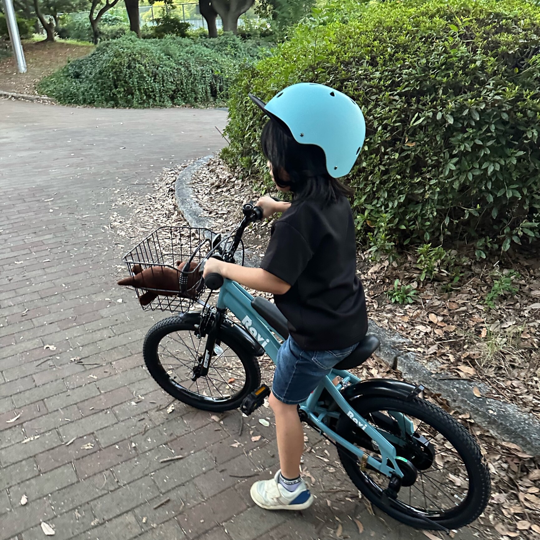 送料無料】【1年保証】子供用自転車 子ども自転車 ジュニア自転車 Ravi