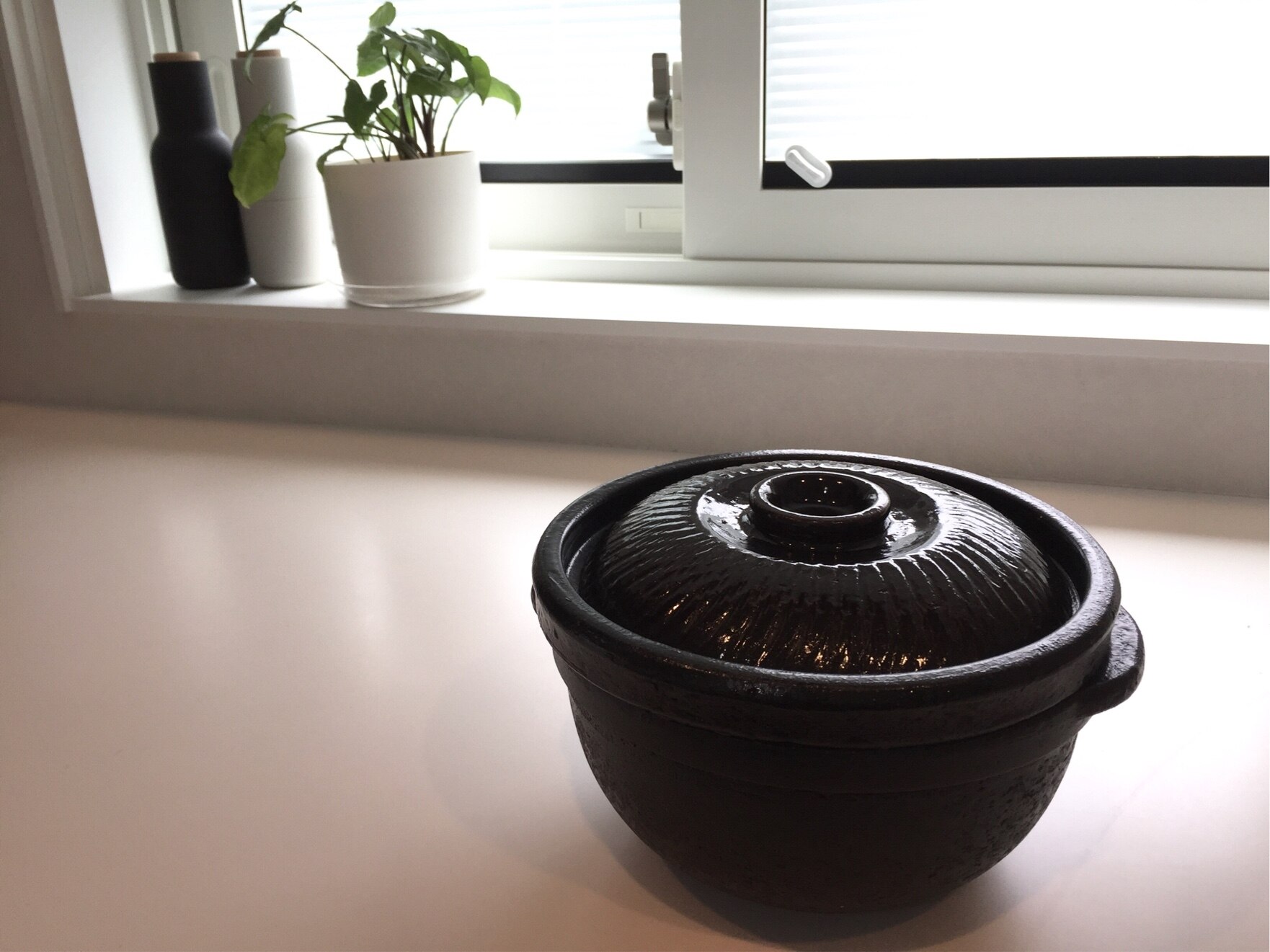 送料無料】炊飯土鍋「陶珍かまど「極」（2合炊き）」※電子レンジ専用