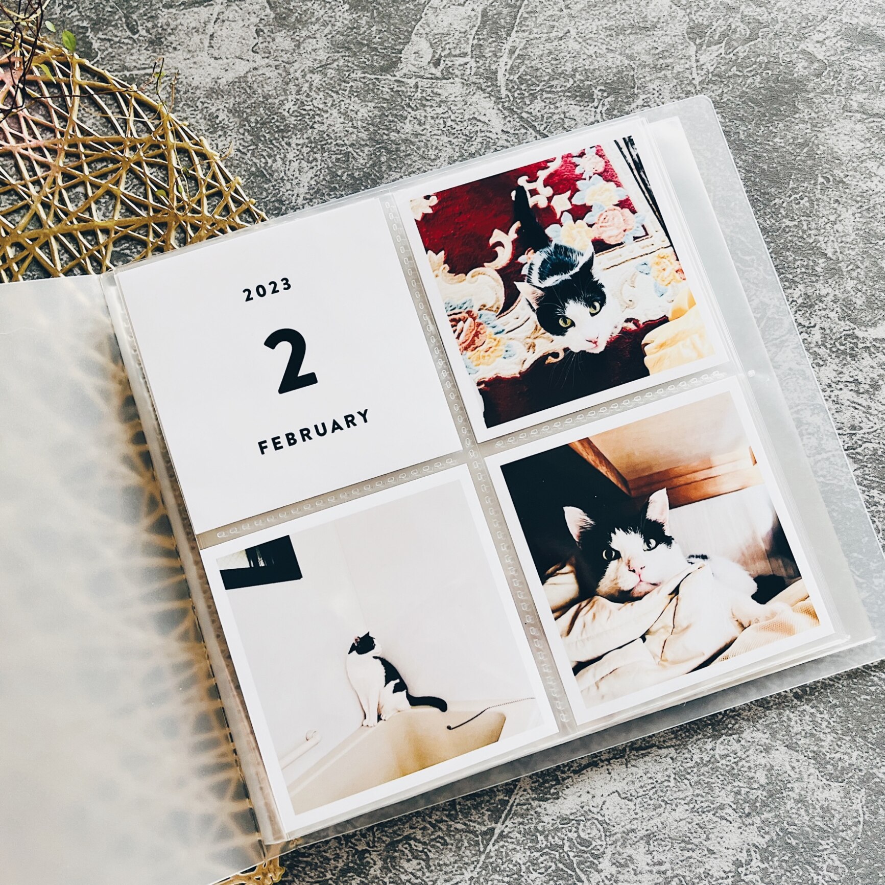 【廃盤商品】MUJI アルバム2段 80ポケット A4サイズ 廃盤品】MUJI スクエア アルバム 2段 80枚収納 - メルカリ