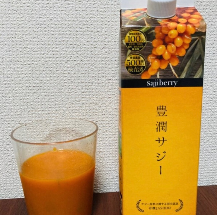 豊潤サジー 1000ml サジージュース【紙パックタイプ】 公式 フィネス