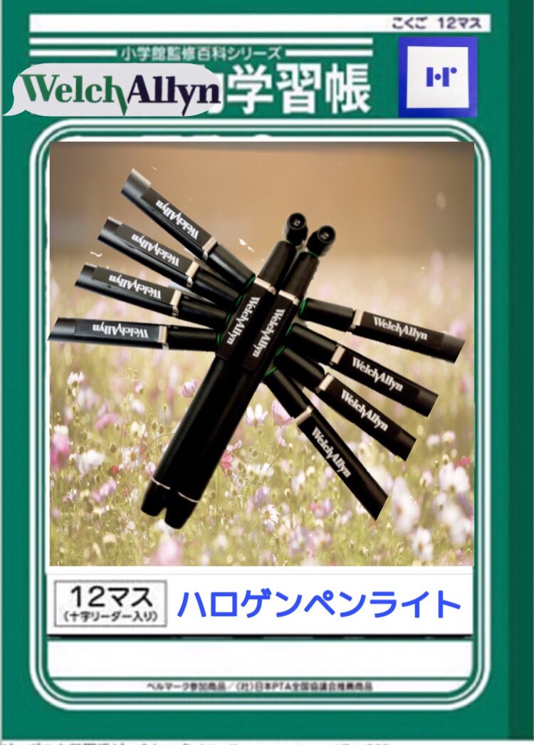 ハロゲンプロフェッショナルペンライト | アールイーメディカル株式