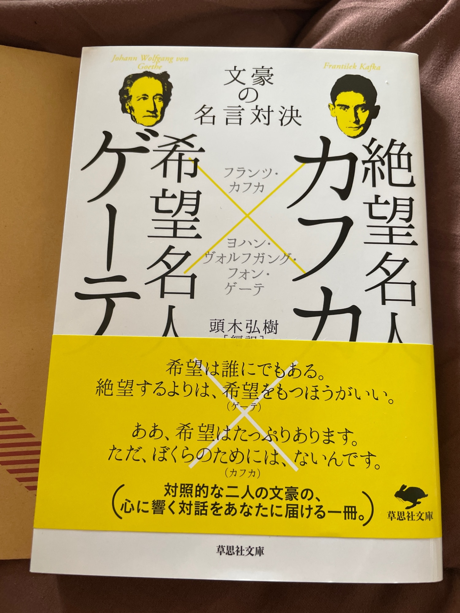 文庫 絶望名人カフカ 希望名人ゲーテ 文豪の名言対決 草思社文庫 頭木 弘樹