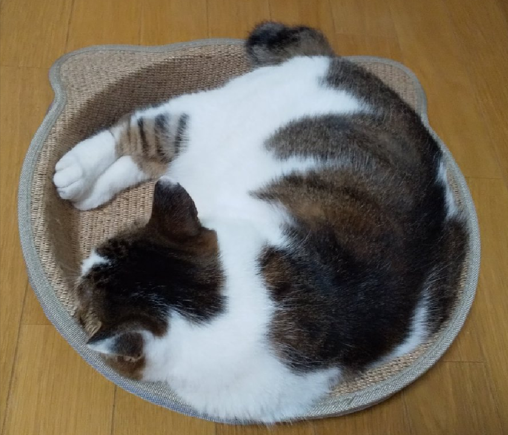 猫用 爪とぎ マルカン 麻のツメとぎトレイ 鍋型 関東当日便