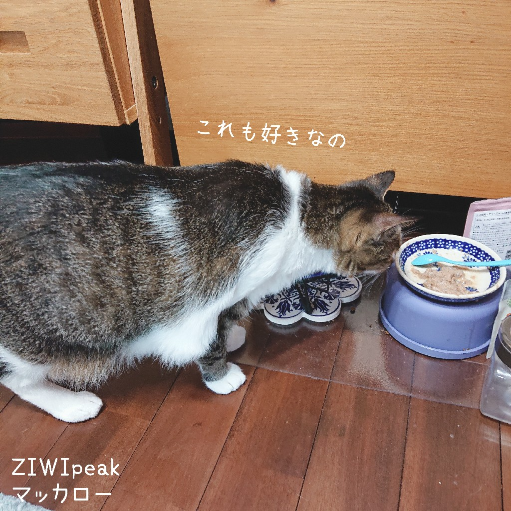 安い本物 ZIWI ジヴィピーク 猫缶 マッカロー185g✖️17缶セット