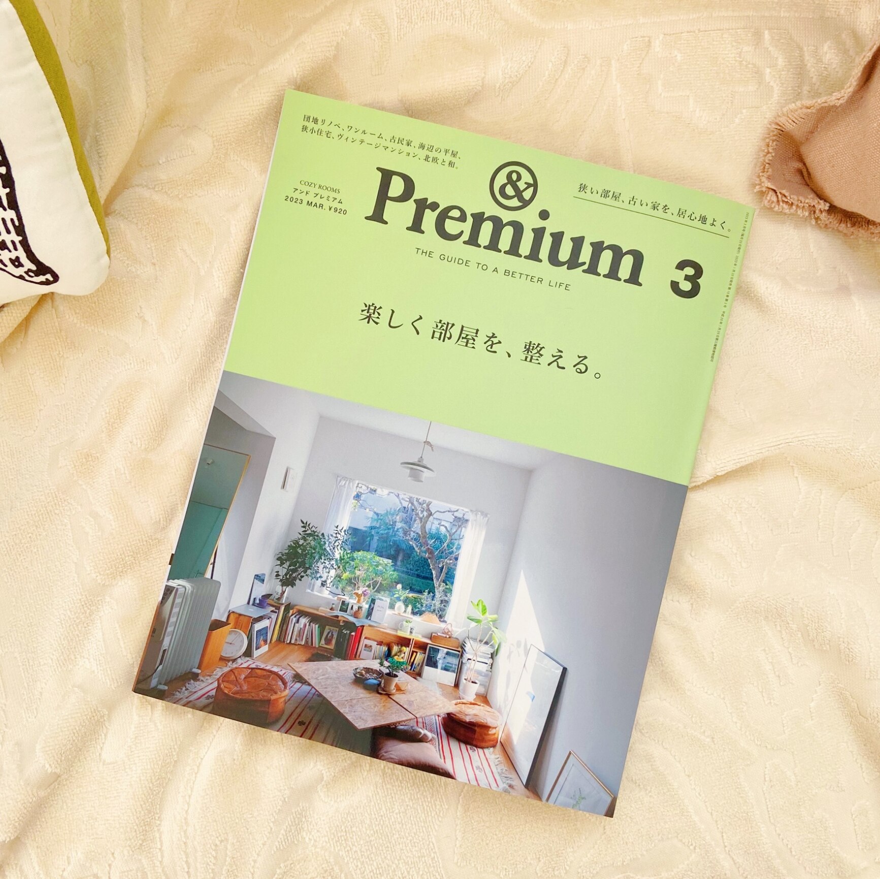 & Premium (アンド プレミアム) 2023年 3月号 [雑誌]