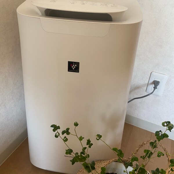 シャープ 空気清浄機 KI-TX70-W ホワイト系 SHARP 空清31畳 加湿21畳 