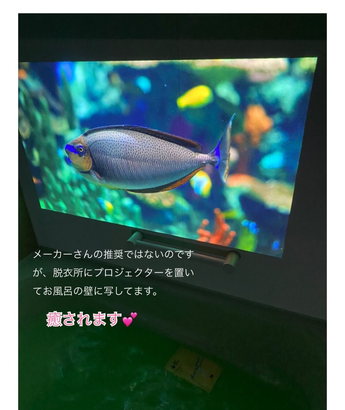 XGIMI Elfin 1080p 高輝度 ホームプロジェクター フルHD Android TV