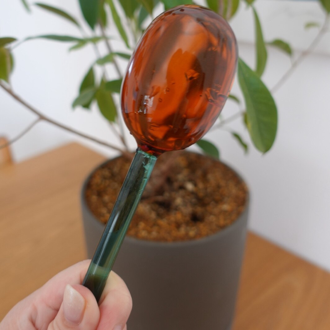 自動給水器 アマブロ amabro TWO TONE WATER DISPENSER S 園芸 鉢植え 観葉植物 水やり 自動 水やり器 水やり機 水差し 60cc ディスペンサー ガーデニング おしゃれ かわいい ガラス製 ツートンカラー 吸水 液体肥料 多肉植物 留守用 室内 小型 便利 ギフト