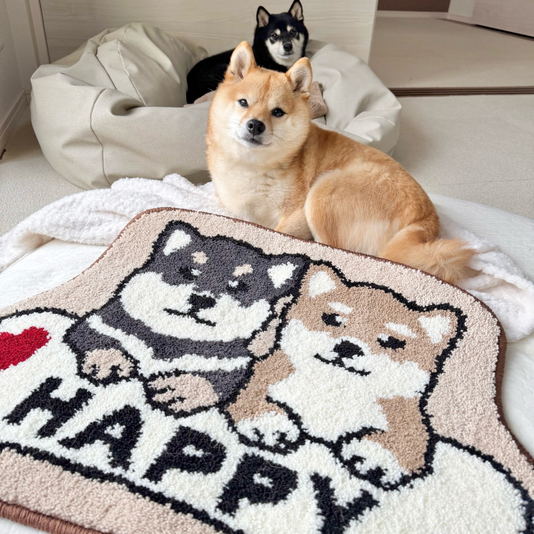 マメシバ マルチマット 45×60cm マメシバ マルチマット 玄関マット 室内 犬柄 洗える 45×60cm 抗菌