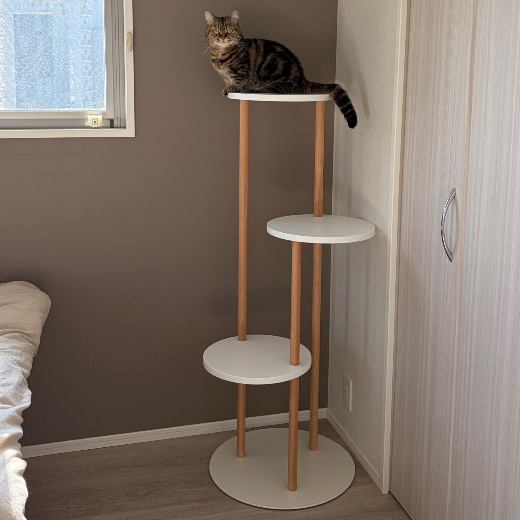 【1日限定！全品7％OFFクーポン配布中】 キャットタワー 木製 据え置き 多頭飼い スリム 大型猫 猫 省スペース 猫タワー 置き型 猫用 キャット ツリー タワー 猫用品 遊び道具 ベット用 室内 北欧 インテリア シンプル キャットツリー Leap〔リープ〕