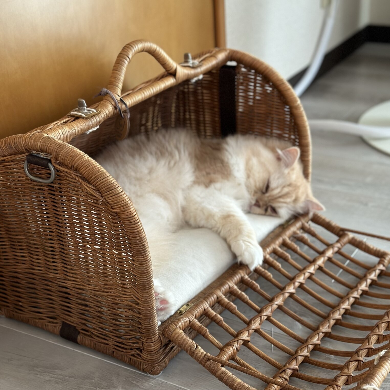 シンシアジャパン　ラタンキャリーマイン　ペット用ケージ 32125_thumbnail.jpg