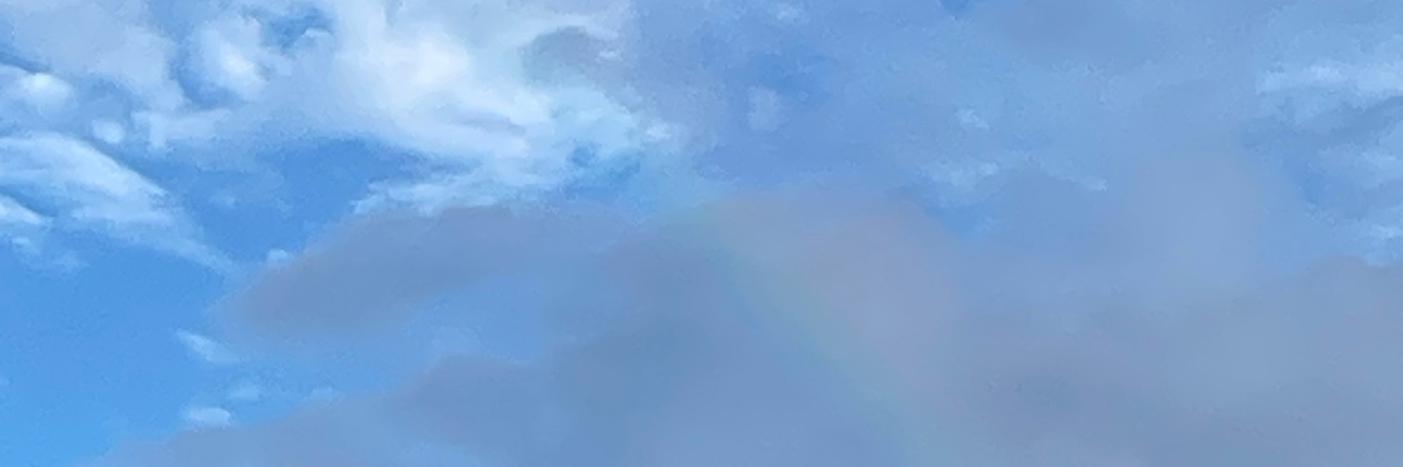 ぶるどっぐ 3月も感謝です🙇‍♀️ のROOM 欲しい! に出会える。