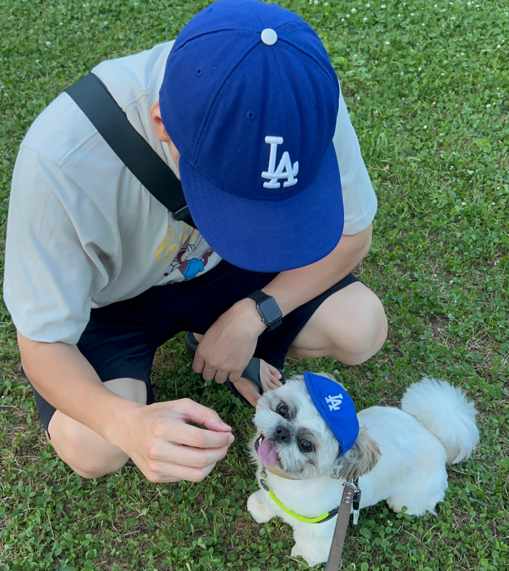 即納カラー有/国内配送】エムエルビー ペット用 キャップ MLB PET