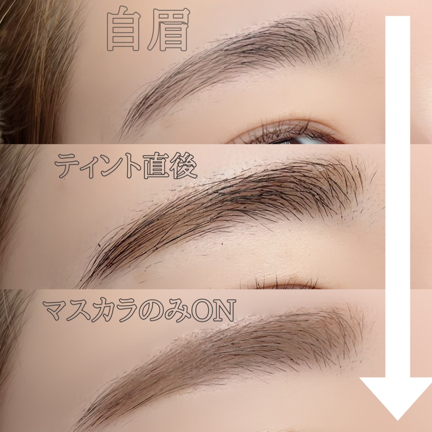 meme　マリブ　ふわっと軽やかショート　ライトブラウン Fujiko フジコ 眉ティントSVR 6g ティント ショコラブラウン