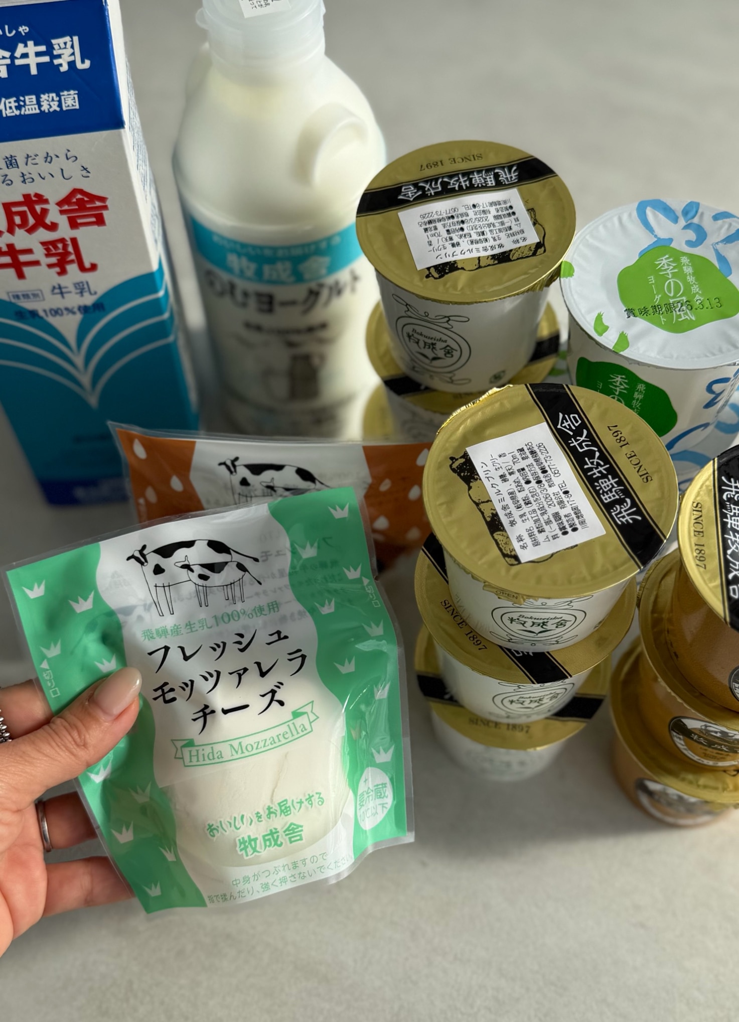 300円OFFクーポン&ポイント10倍! 訳あり 乳製品福袋 2026 食品ロス 福袋 食品 国産チーズ 在庫処分 訳アリ 牛乳 ヨーグルト 乳製品 詰め合わせ チーズ 牧成舎 スイーツ 送料無料 ワケアリ DEAL ギフト 敬老の日